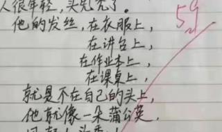 我的班主任作文